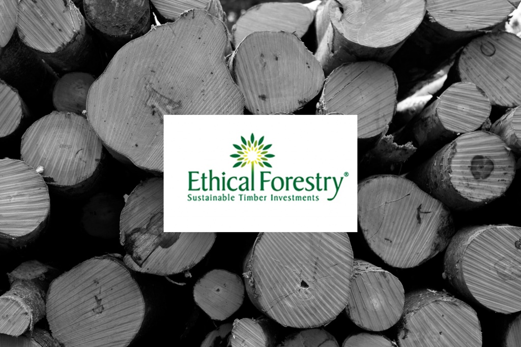 FSCS acknowledges the Ethical Forestry problem: Estimates there is over £50m to be paid into compensation to investors